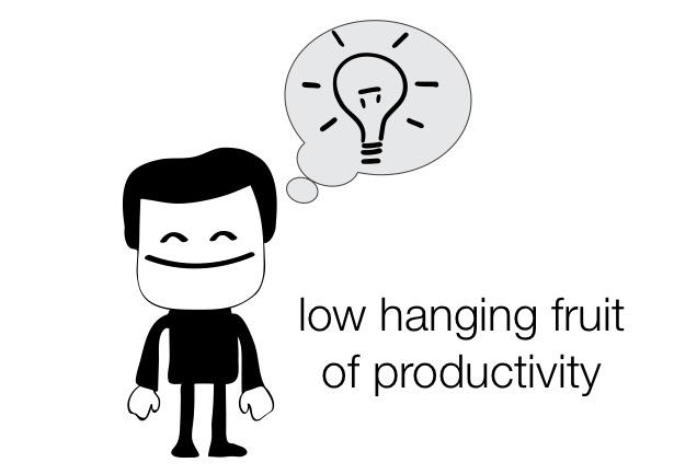 Is there such a thing as a “low-hanging fruit” of productivity?